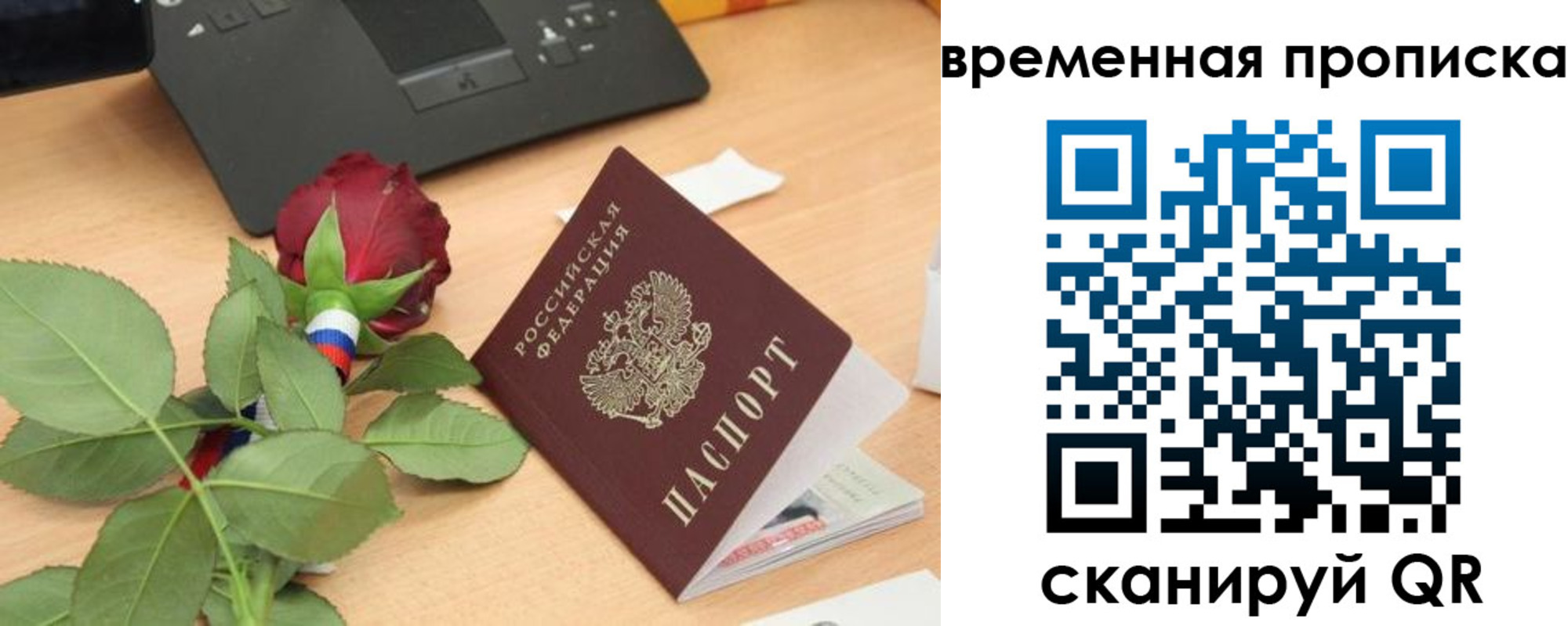 временная регистрация поиск в Краснозаводске